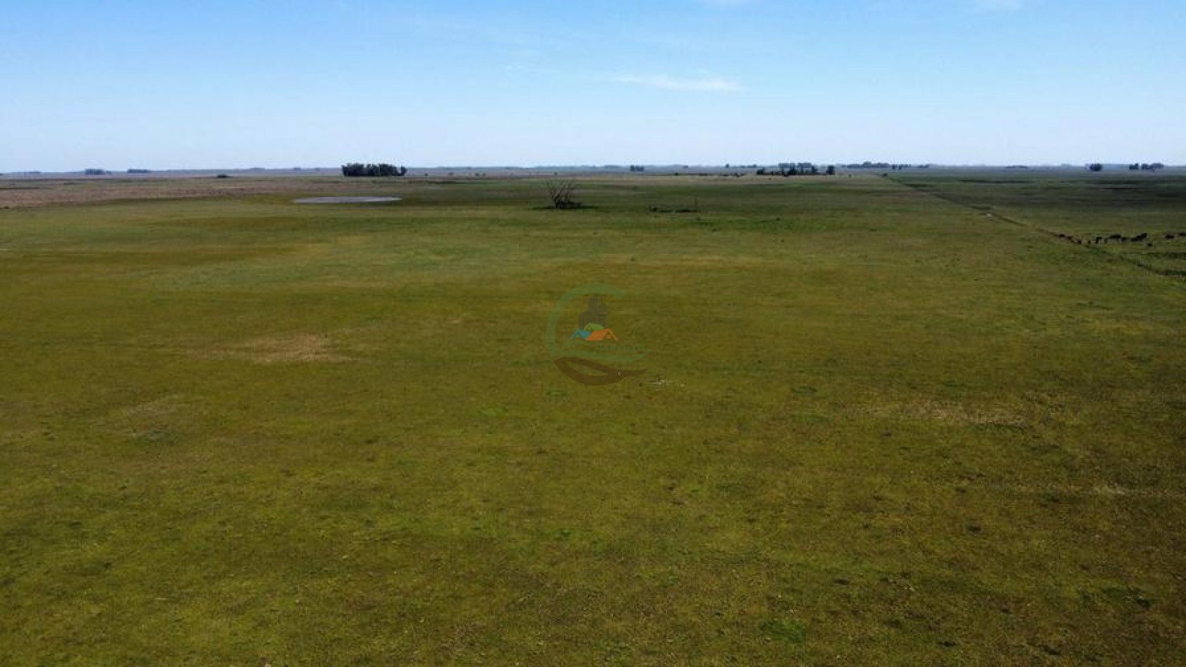 227 Ha Mixto - Rauch