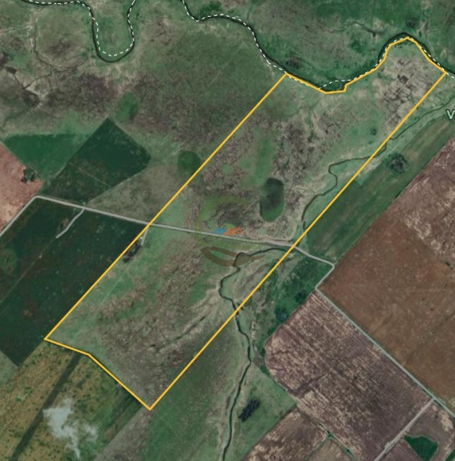 155 ha Ganaderas - Pergamino - Alquiler