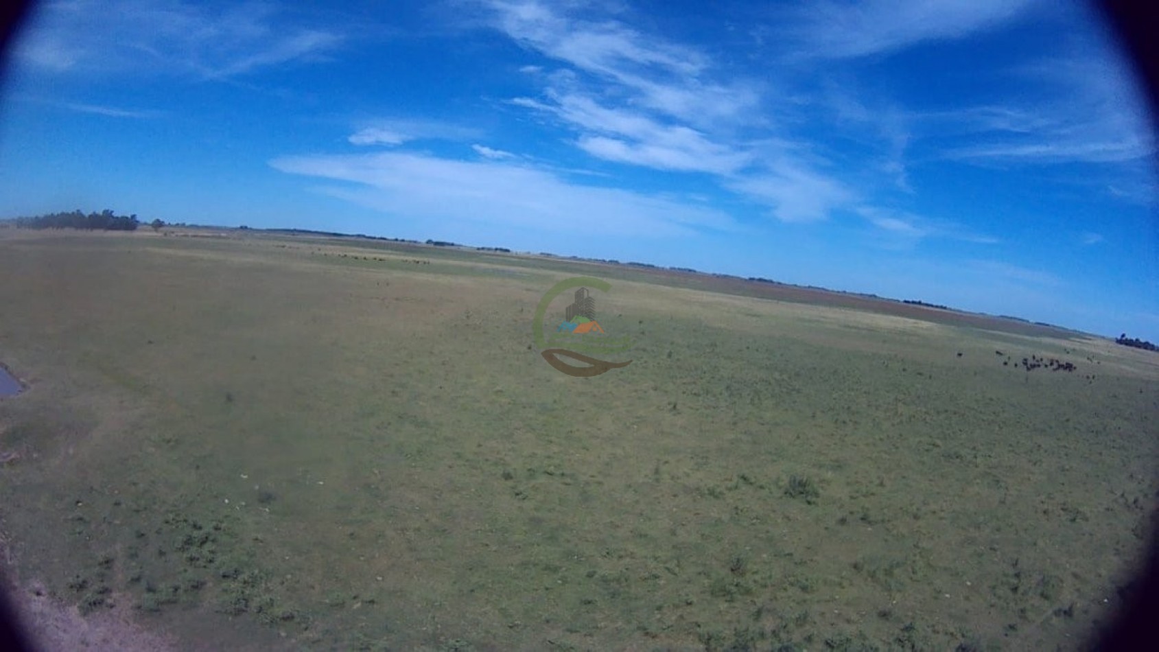 302 Ha Ganadero - Comandante Giribone - Chascomus