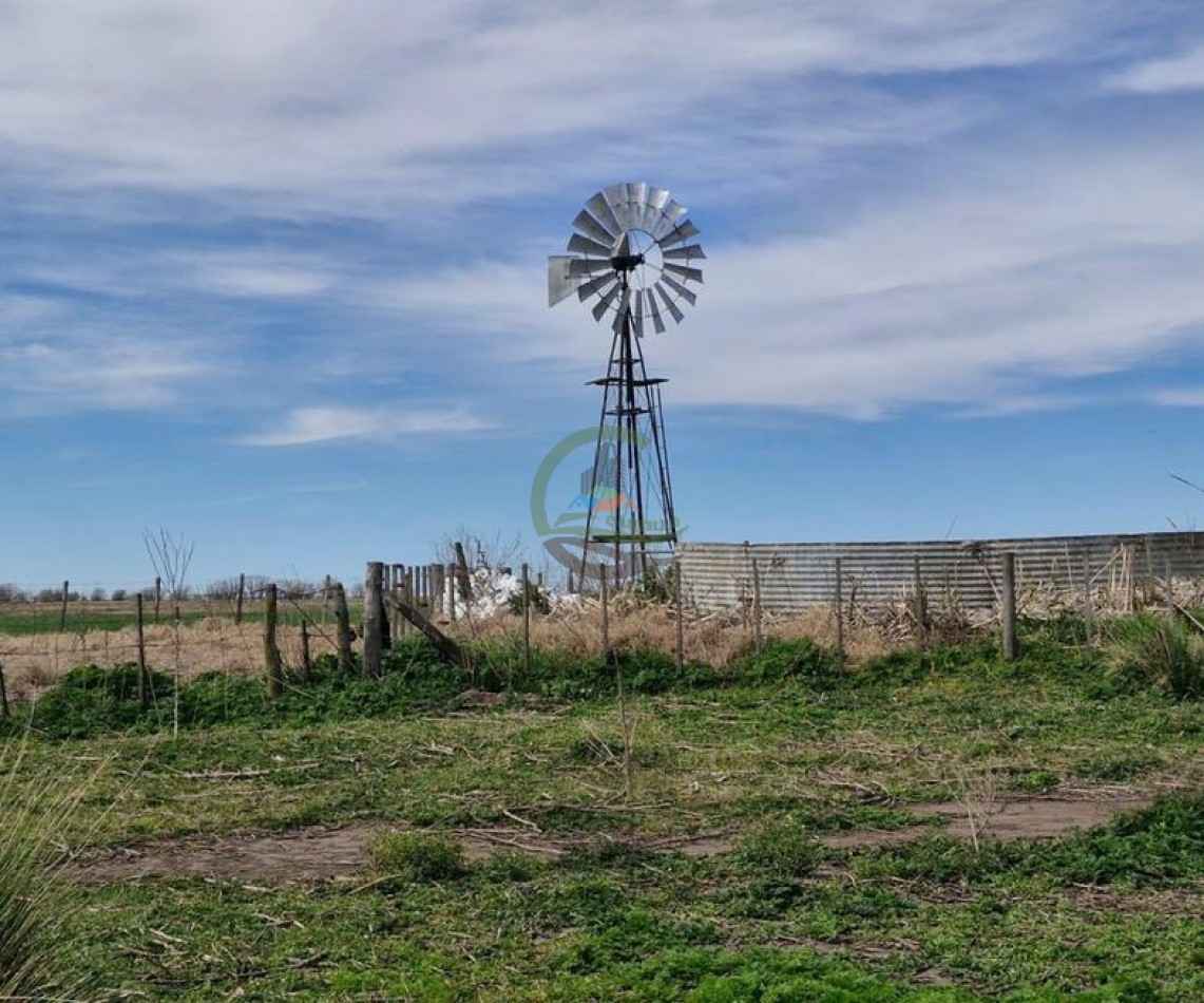 440 Ha Mixta - Crotto - Tapalque