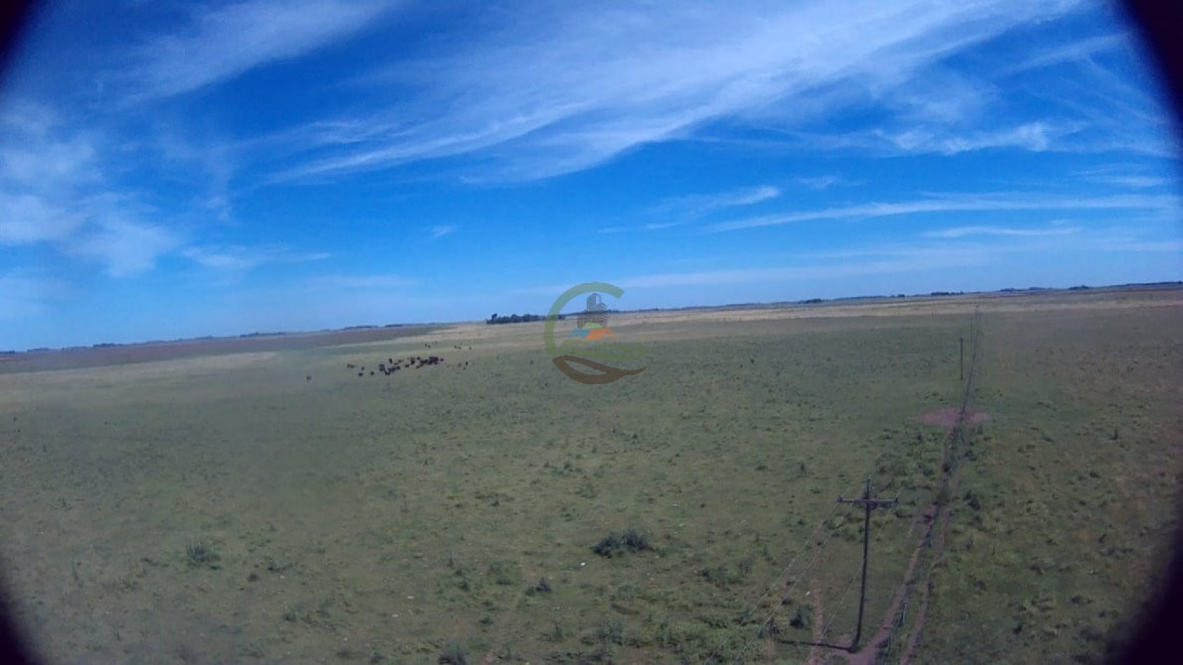 302 Ha Ganadero - Comandante Giribone - Chascomus