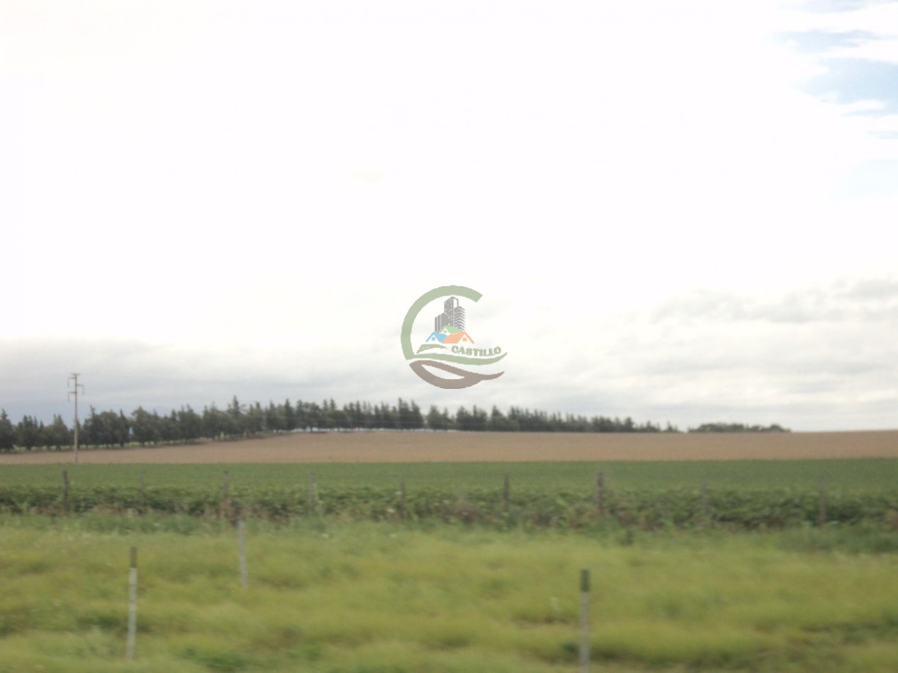 603 Ha Agricolas - Gral Pinto