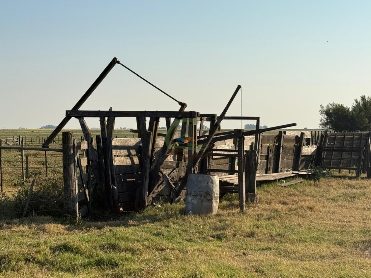 1698 ha Mixto - Paula - Bolivar