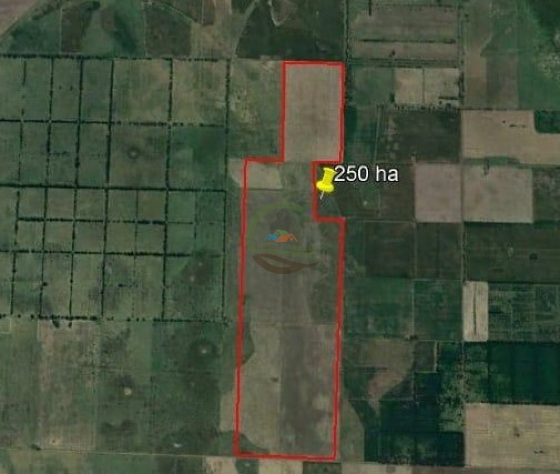 250 Ha Agricolas - Roberts - Lincoln