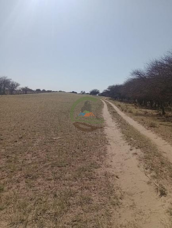 2500 Ha Ganadero - Coto de Caza - Colonia Devoto - La Pampa
