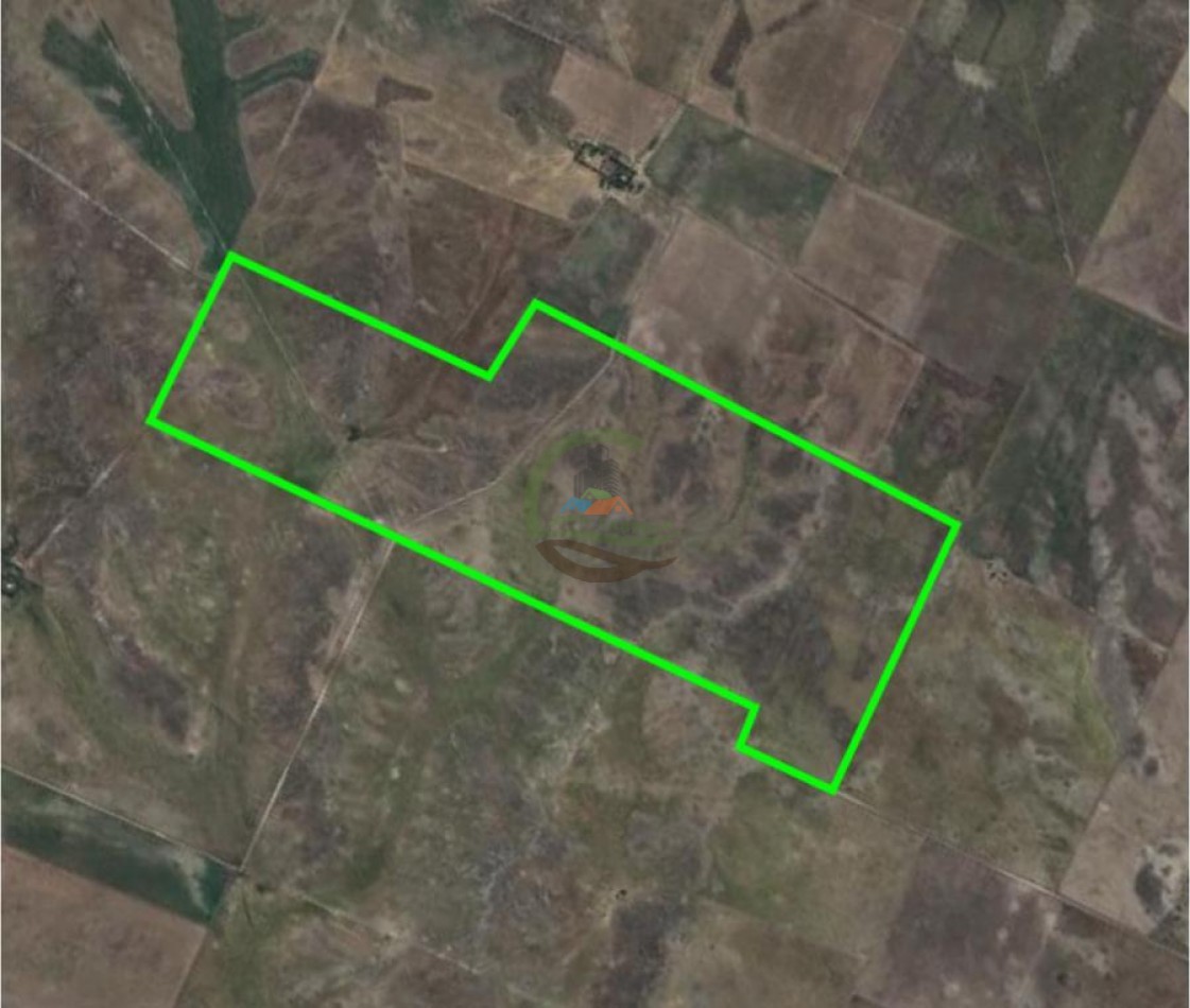 285 Ha Mixto - Naposta - Bahia Blanca