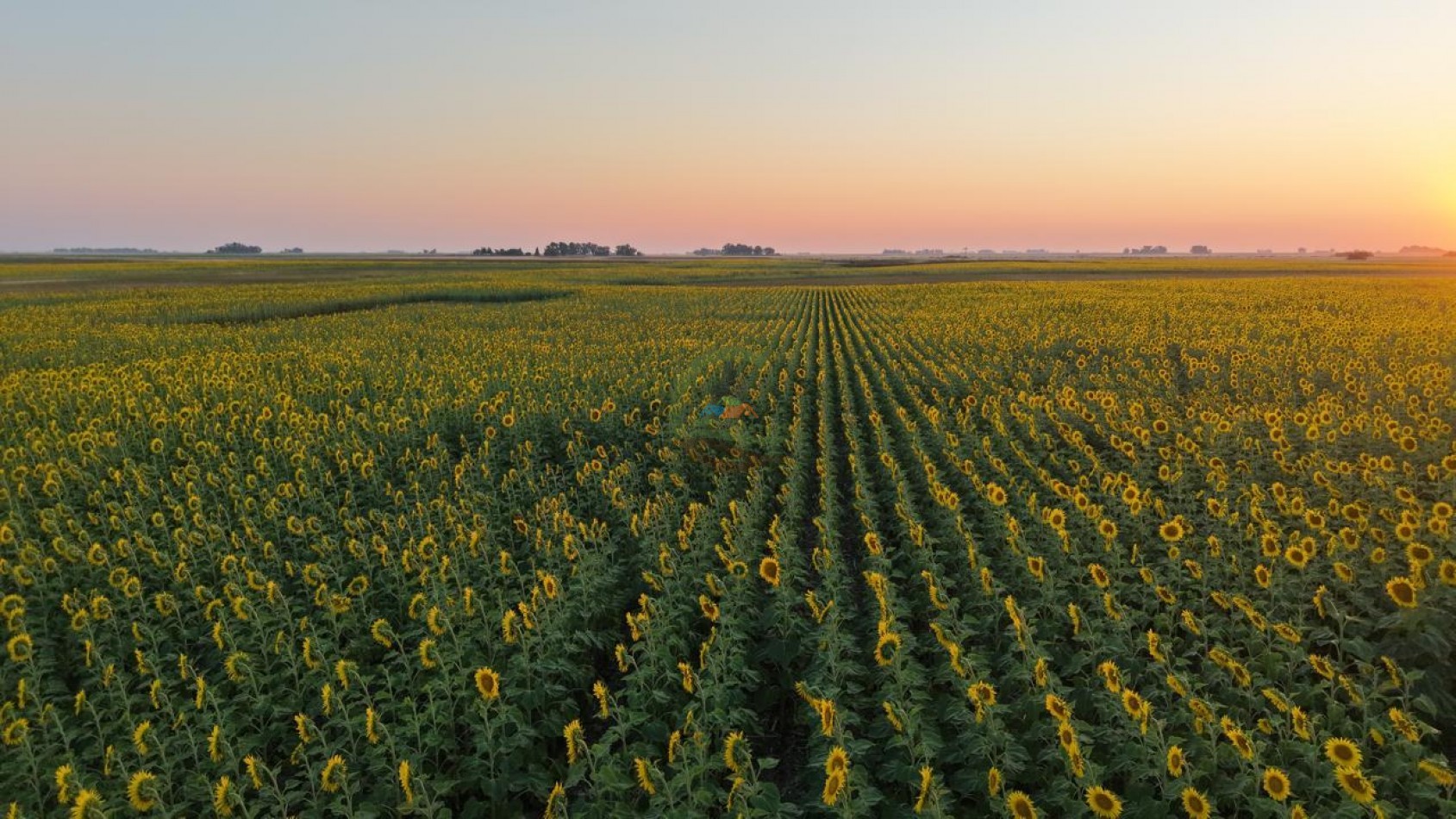 1698 ha Mixto - Paula - Bolivar