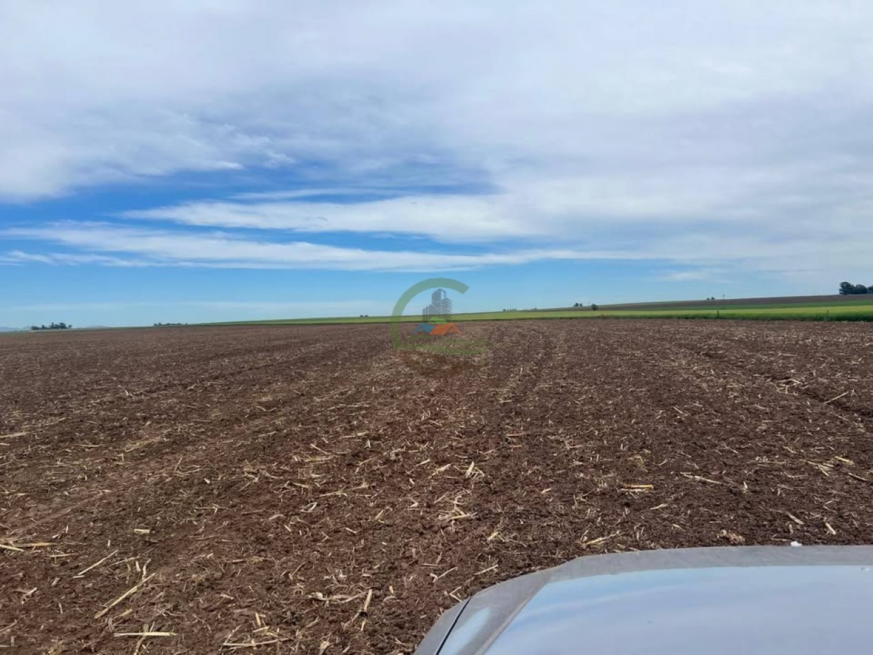 865 Ha Agricolas - Pasman - Coronel Suarez