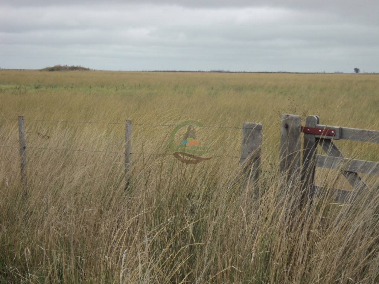 603 Ha Agricolas - Gral Pinto