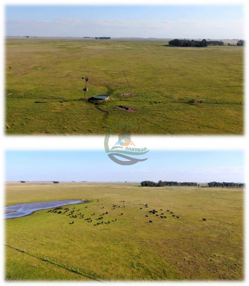 438 Ha Ganadero - Crotto - Tapalque