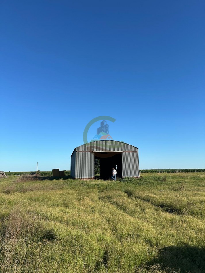 262 Ha Agricolas - Gonzalez Moreno - Rivadavia