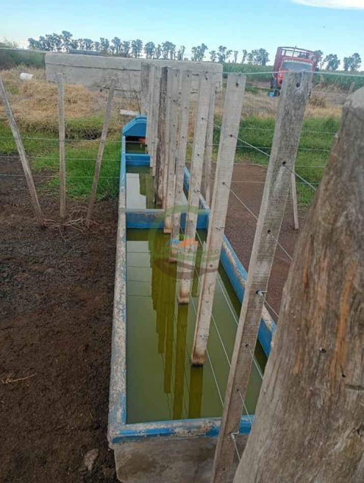 378 Ha Mixto - Realico - La Pampa