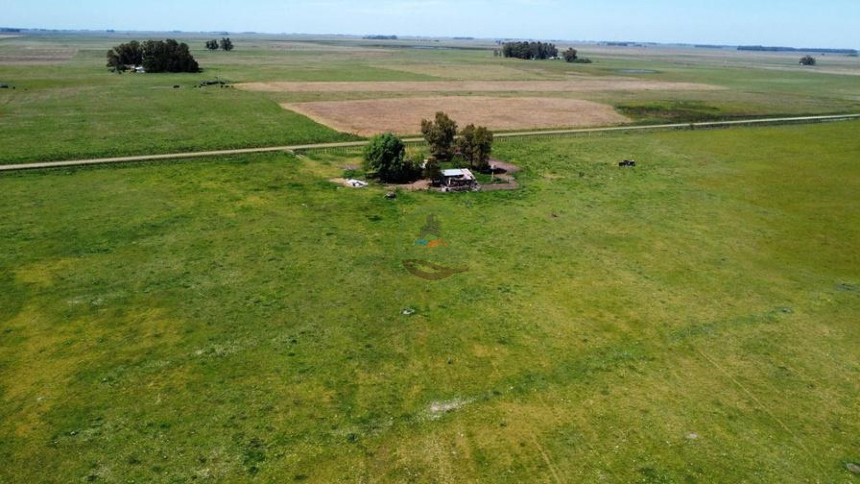 227 Ha Mixto - Rauch