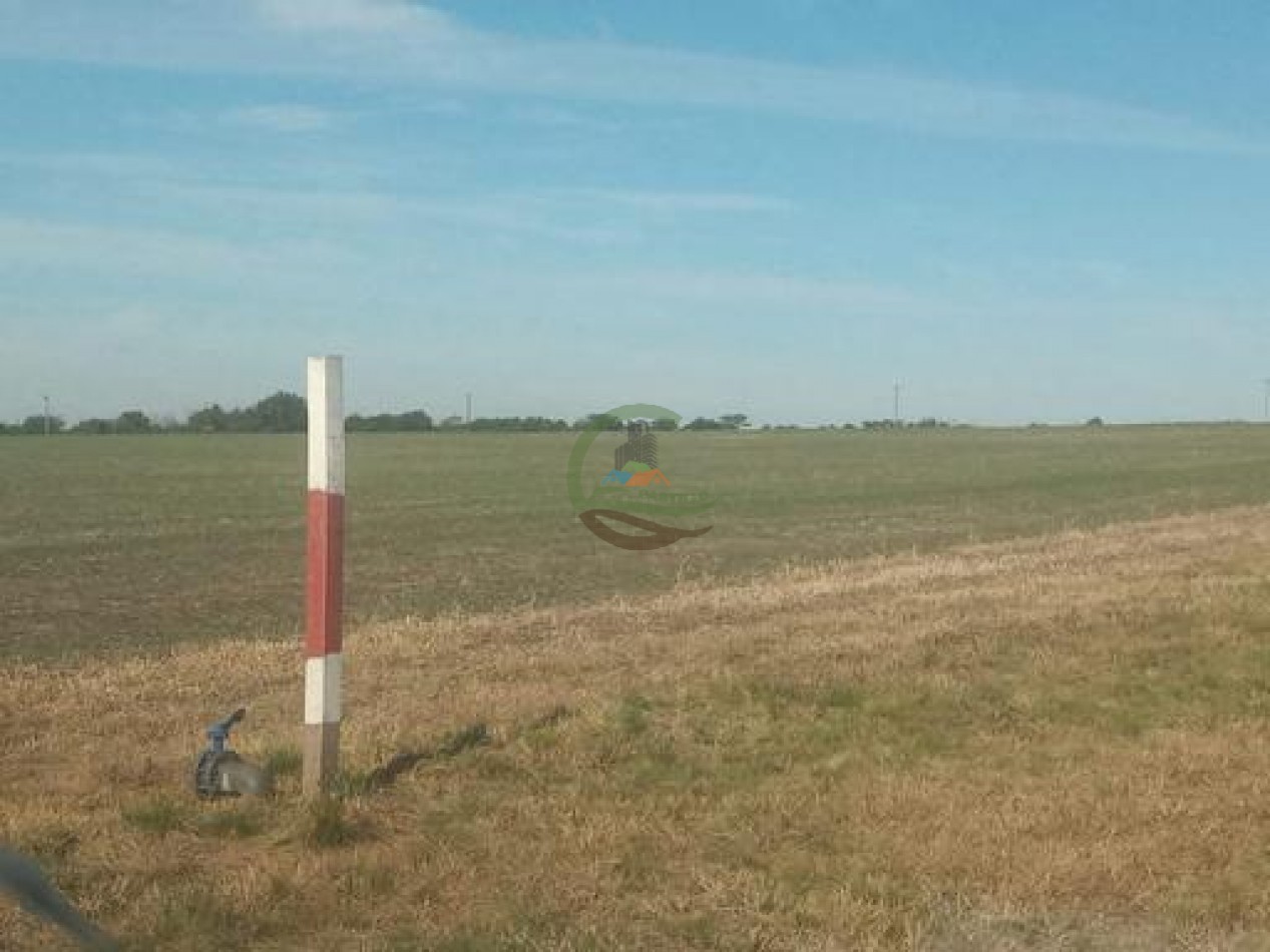 2340 Ha Mixto - La Paz - Entre Rios