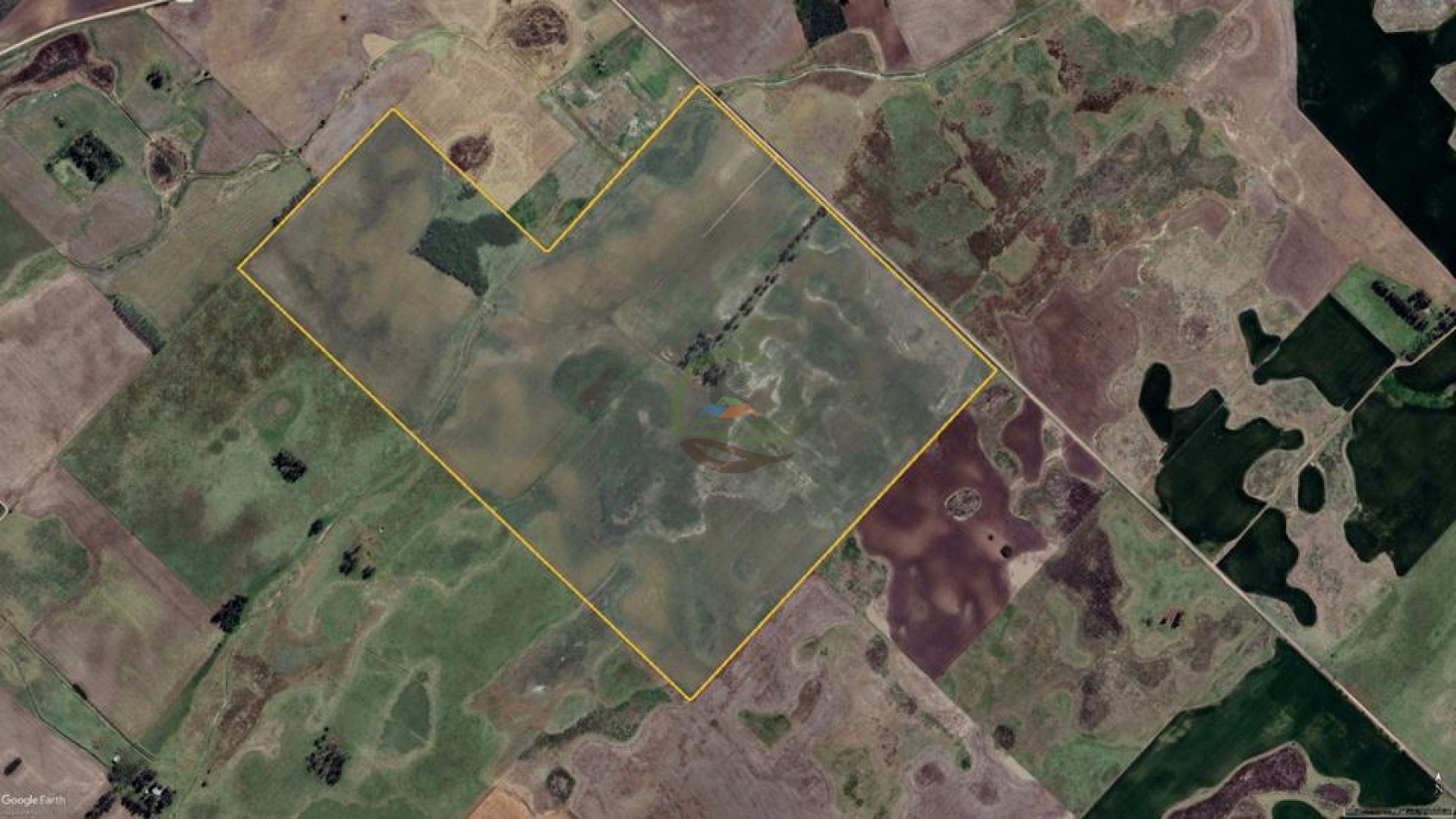 180 ha Mixto - Morea - 9 de Julio