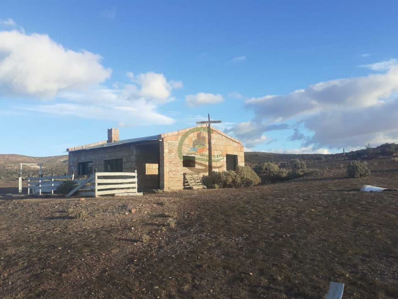 59000 ha Ganadero - Chubut