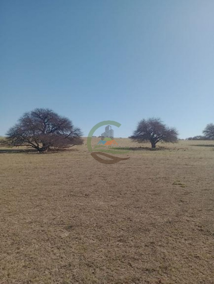 2500 Ha Ganadero - Coto de Caza - Colonia Devoto - La Pampa