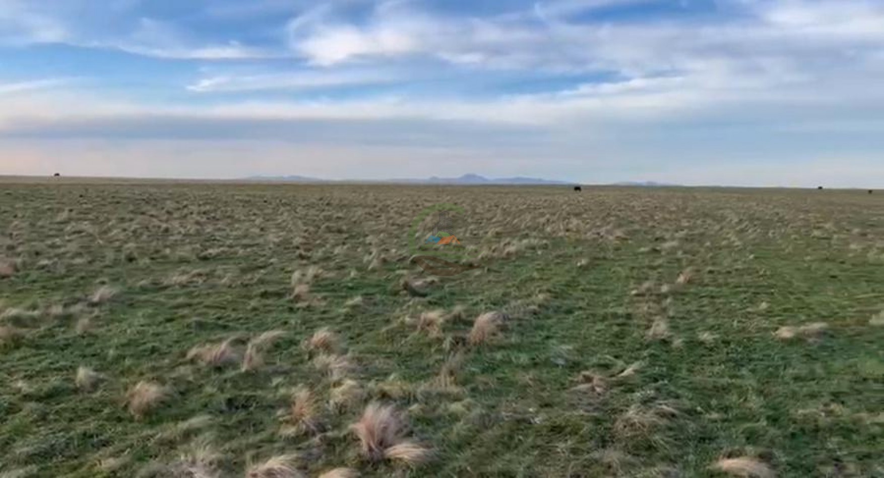 285 Ha Mixto - Naposta - Bahia Blanca
