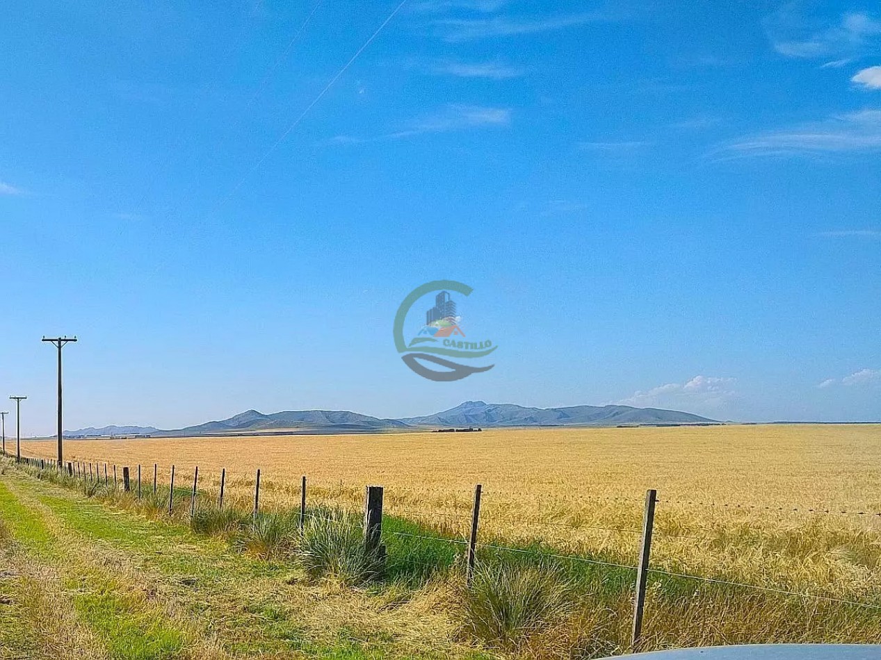 235 Ha Mixto - Tornquist