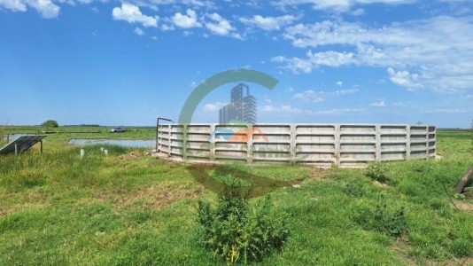 1752 Ha Mixta - Roque Perez