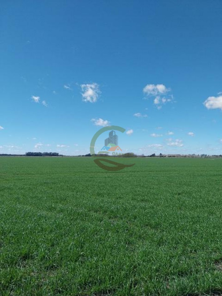 1104 Ha Agricolas - San Miguel del Monte