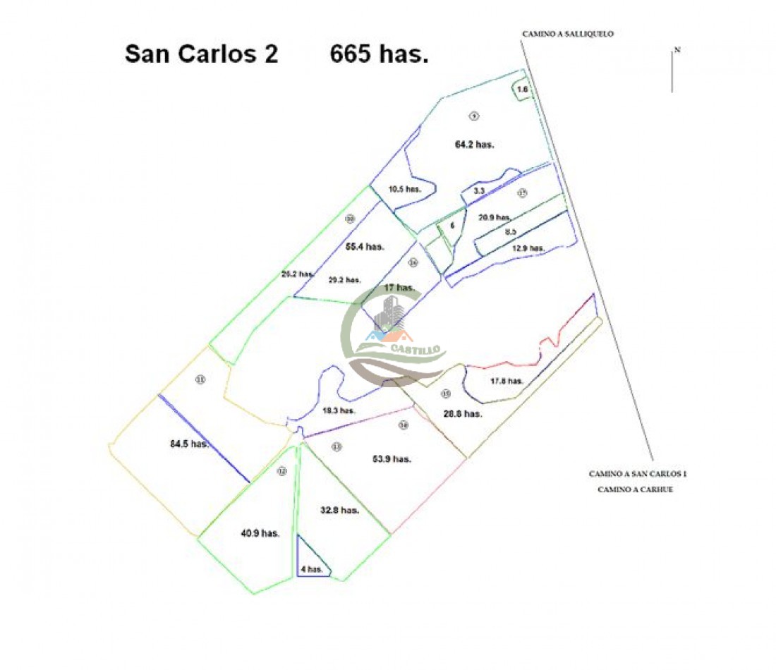 1354 Ha Mixto - Carhue