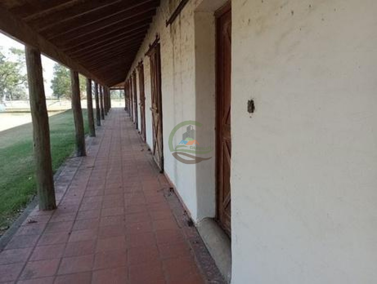 60 ha Haras - San Andres de Giles