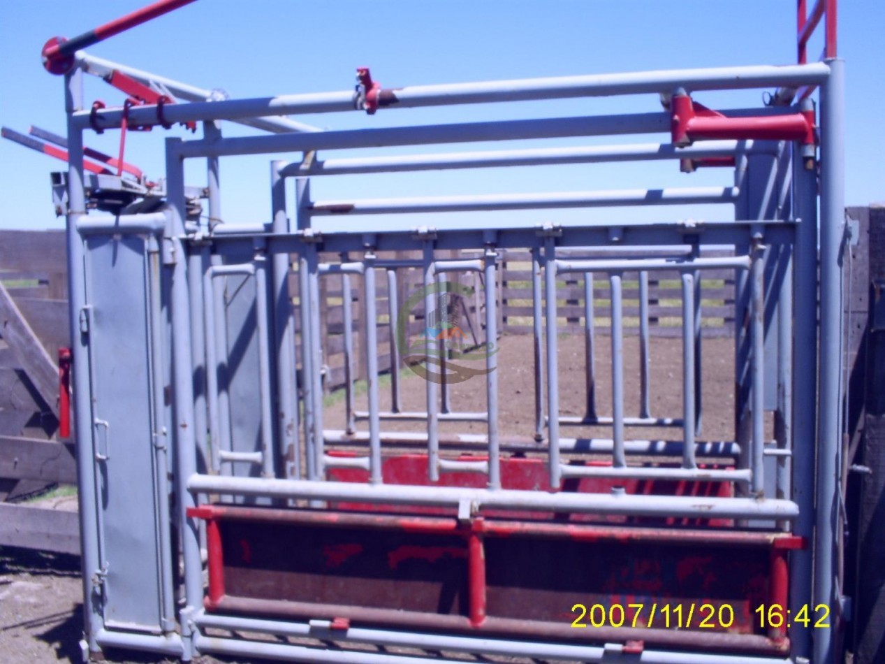 1354 Ha Mixto - Carhue
