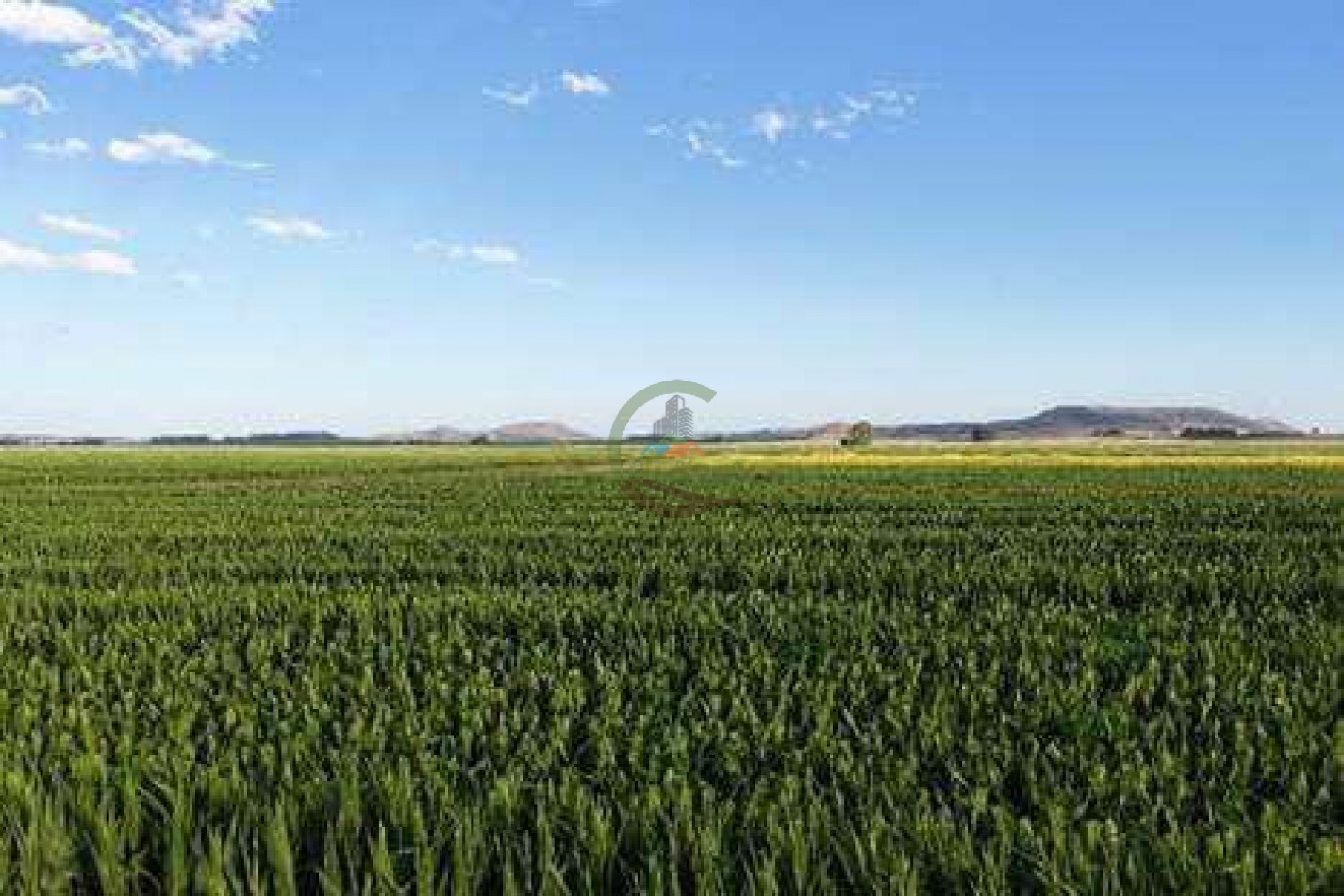 2057 Ha Mixto - Loberia