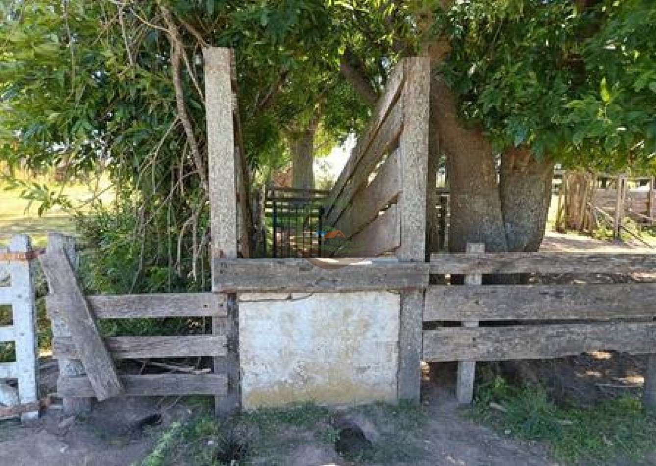 132 Ha Mixto - Magdalena