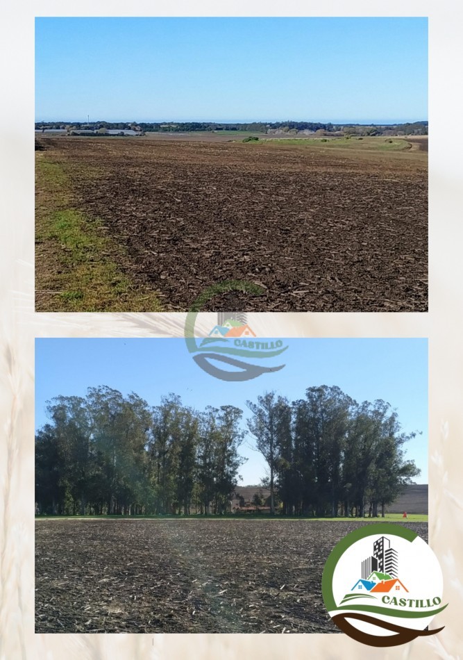 550 ha agricolas - mar del plata