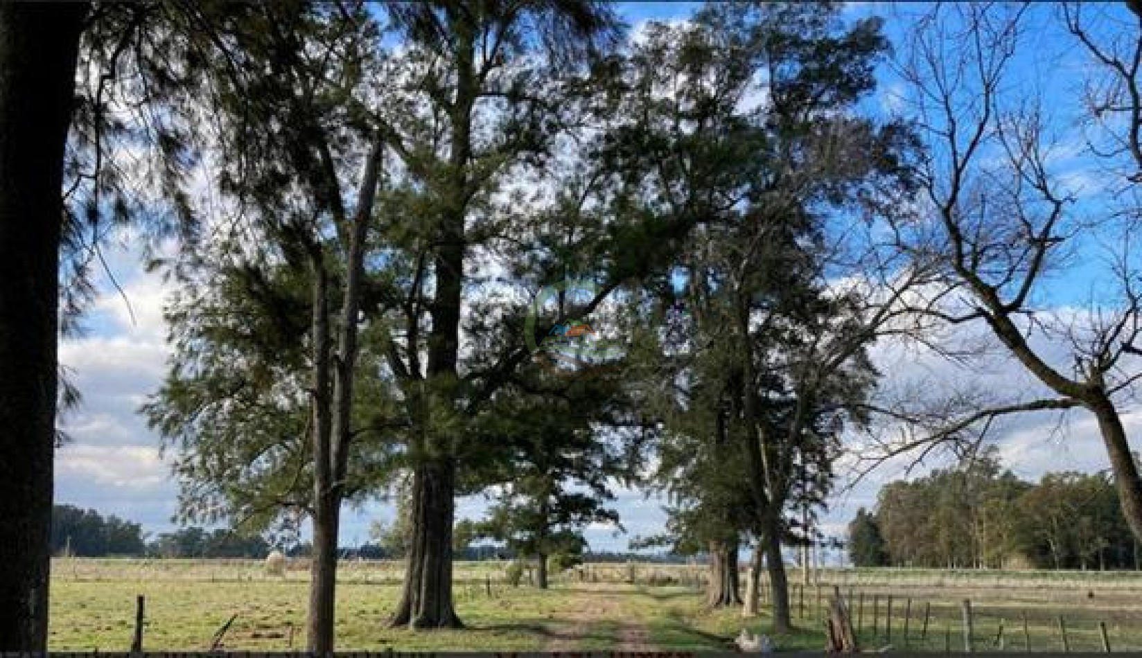 37 Ha Mixtas - San Miguel del Monte