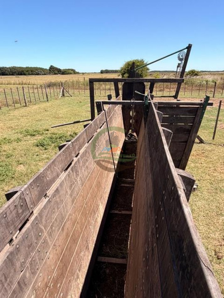 469 Ha Mixto - Chascomus