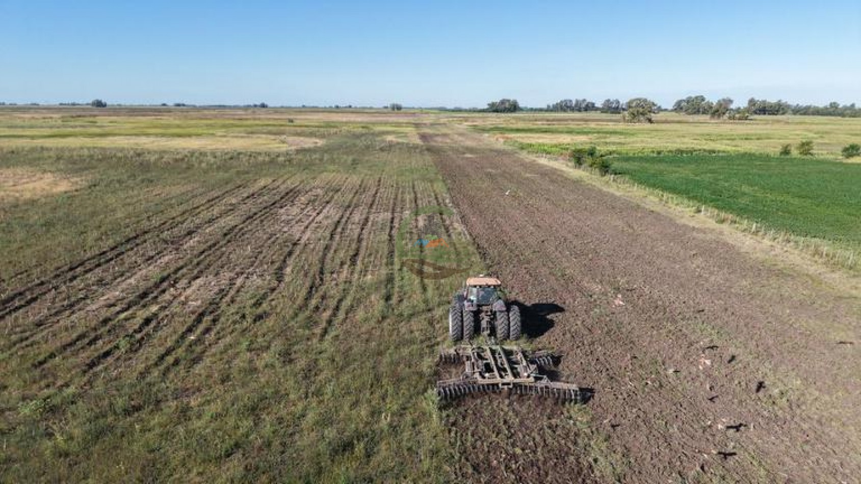 186 HA Mixtas - Hortensia - Carlos Casares