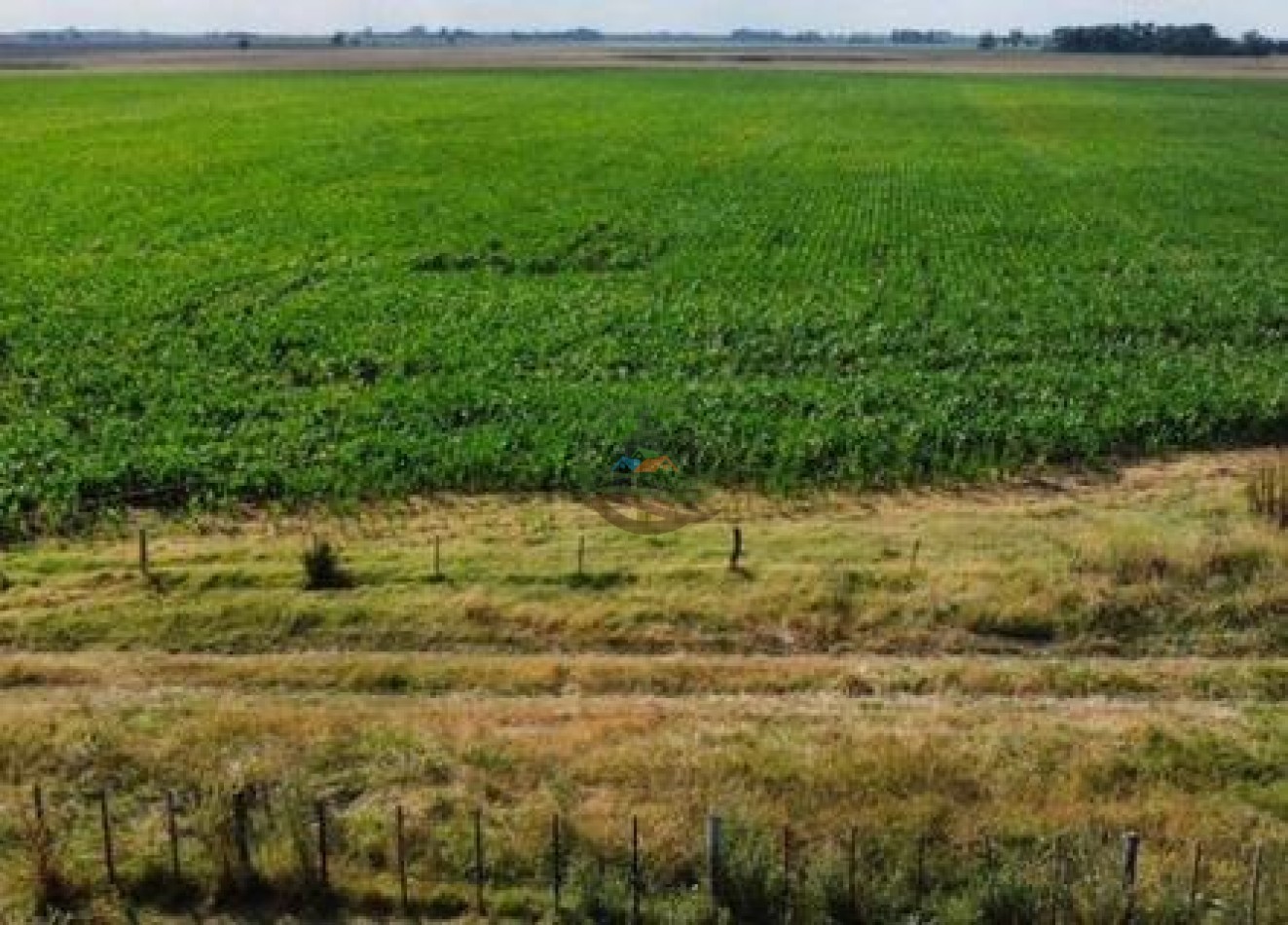 401 Ha Mixto - Lezama