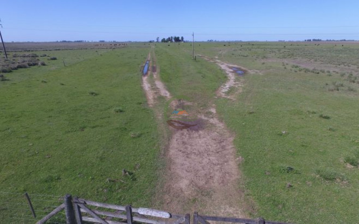 467 Ha Ganadero - Timote - Carlos Tejedor
