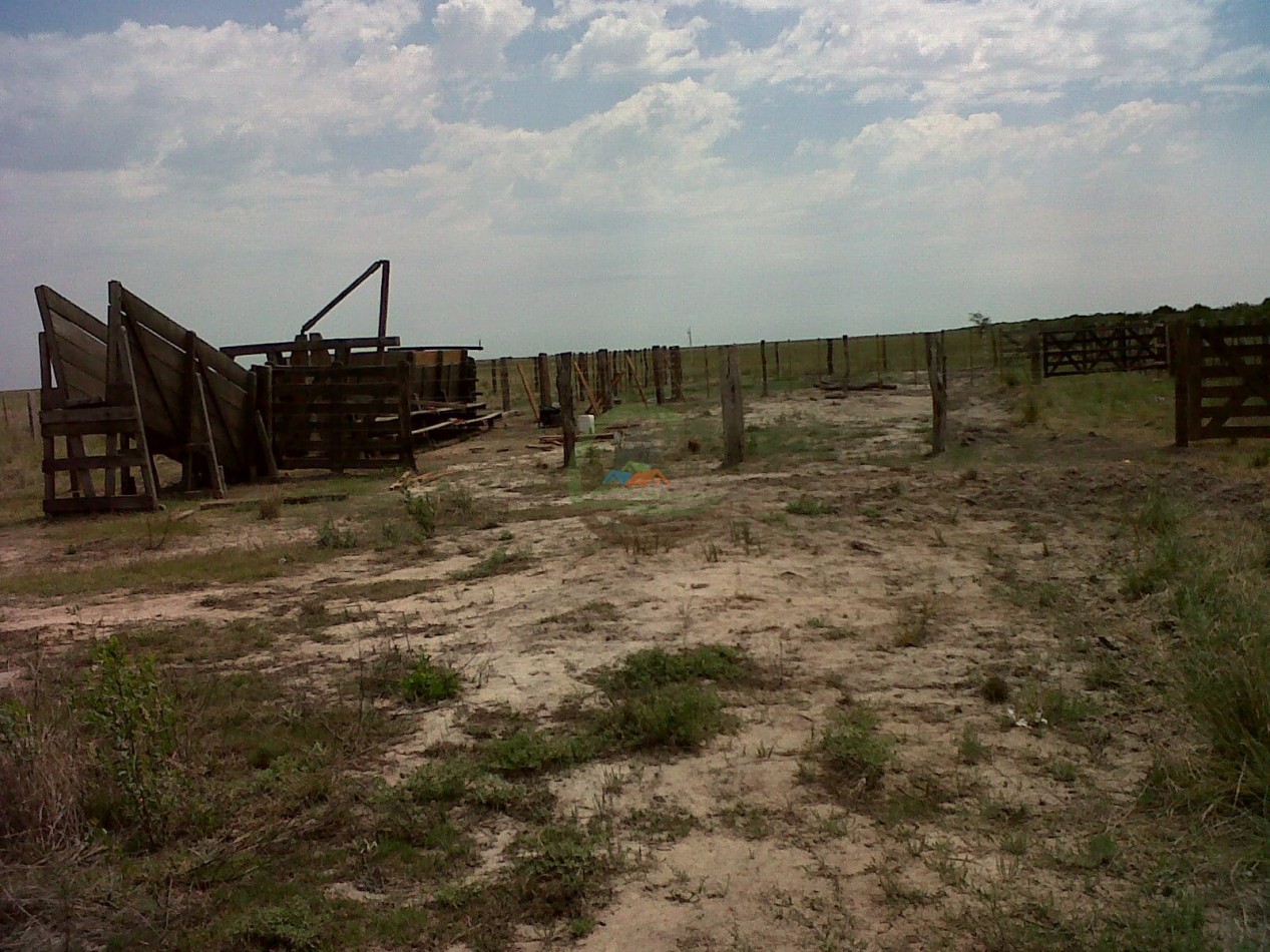 3400 ha ganadera - Santa Fe