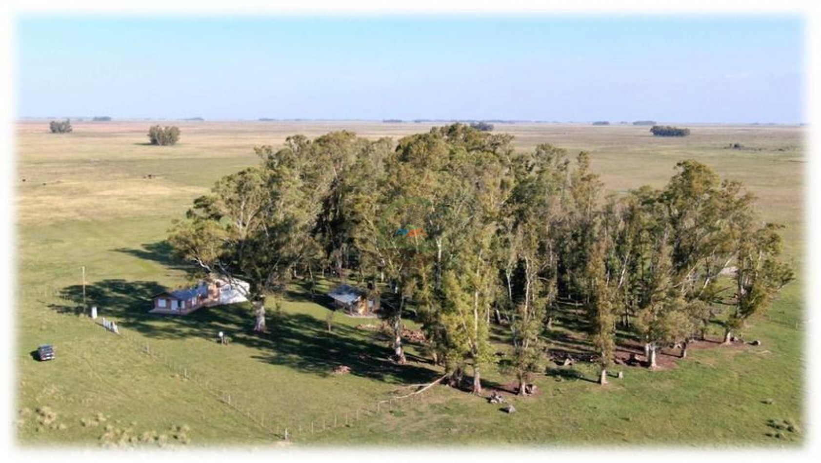 438 Ha Ganadero - Crotto - Tapalque