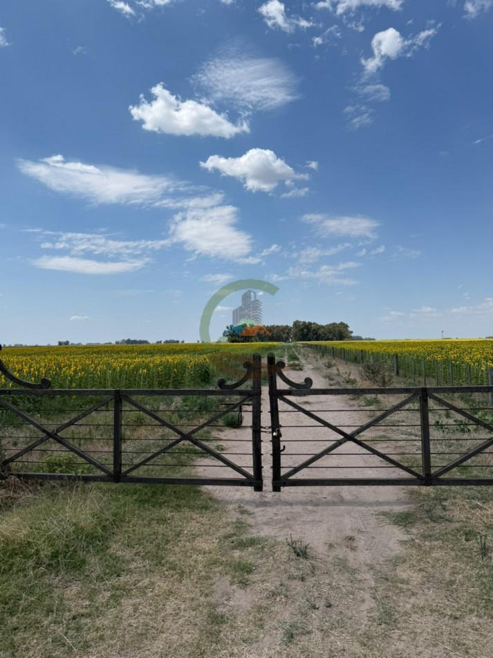 150 Ha Mixto - Urdampilleta - Bolivar