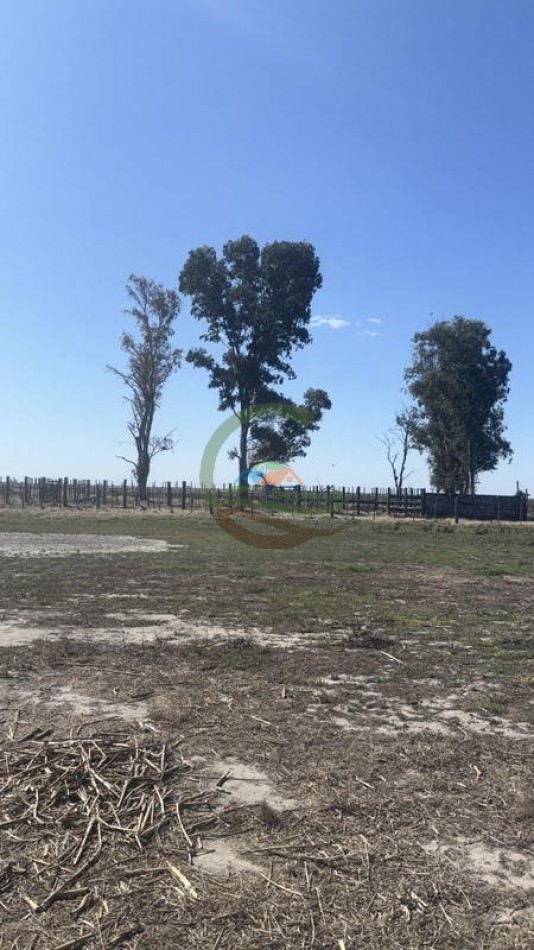 200 Ha agricolas - Saira - Marcos Juarez - Cordoba