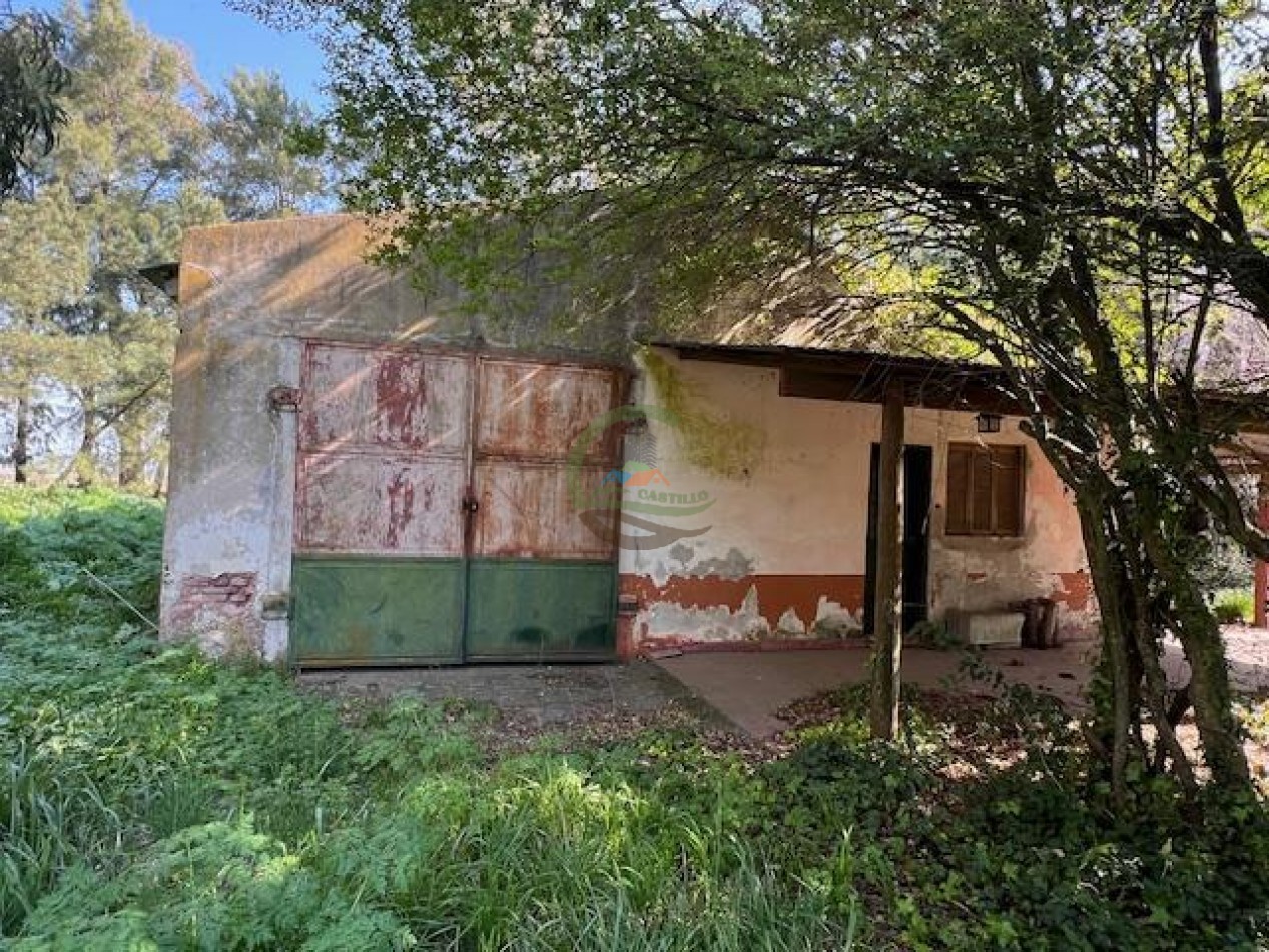 422 Ha Mixto - Las Flores