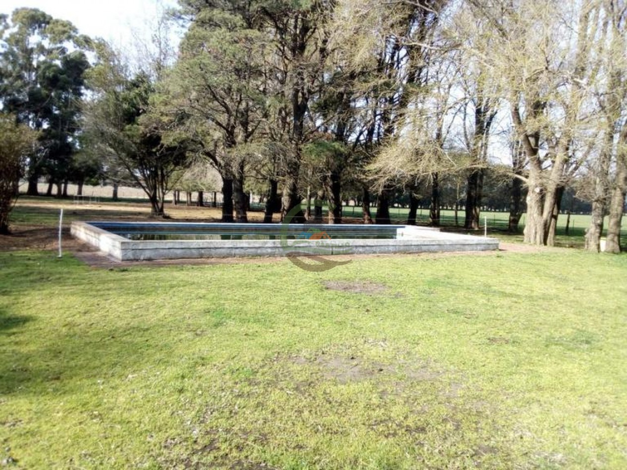 242 Ha - Mixto - Mechongue