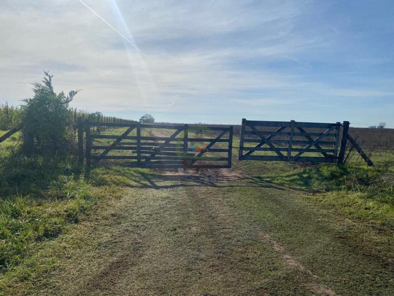 38 Ha Agricolas - Bolivar
