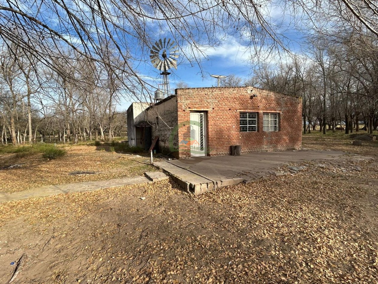 1006 Ha Mixto - Gral Acha - La Pampa