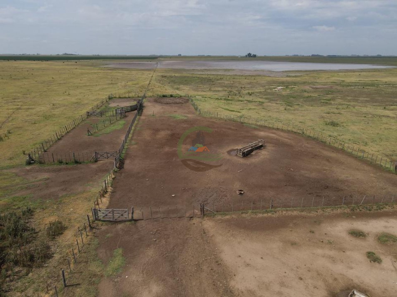 1020 Ha Mixto - Realico - La Pampa