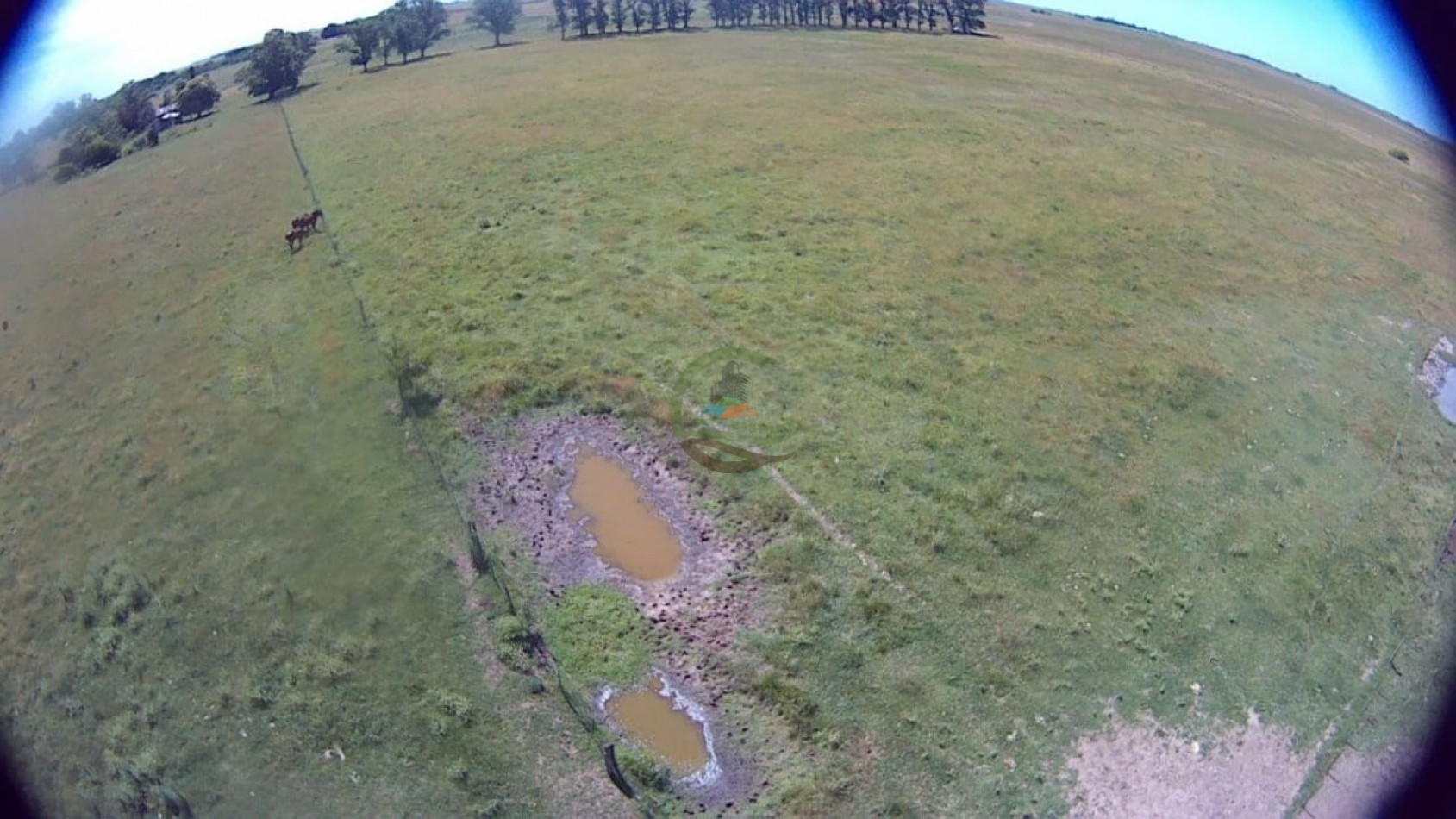 302 Ha Ganadero - Comandante Giribone - Chascomus