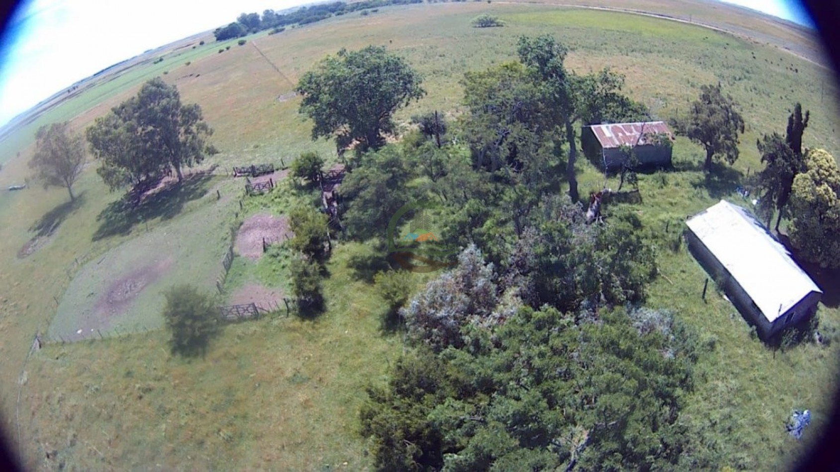 302 Ha Ganadero - Comandante Giribone - Chascomus