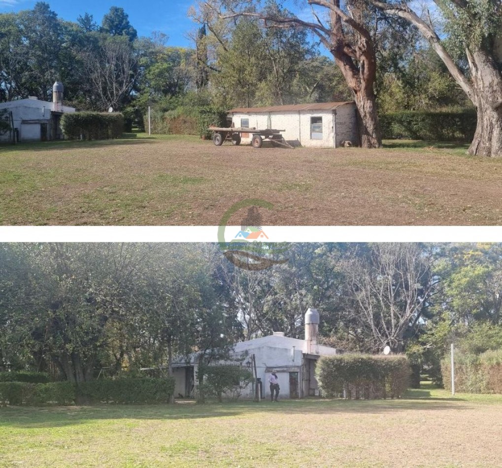401 Ha Mixto - Lujan 