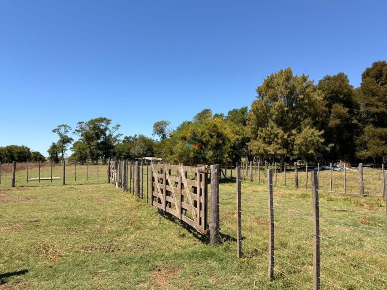 469 Ha Mixto - Chascomus