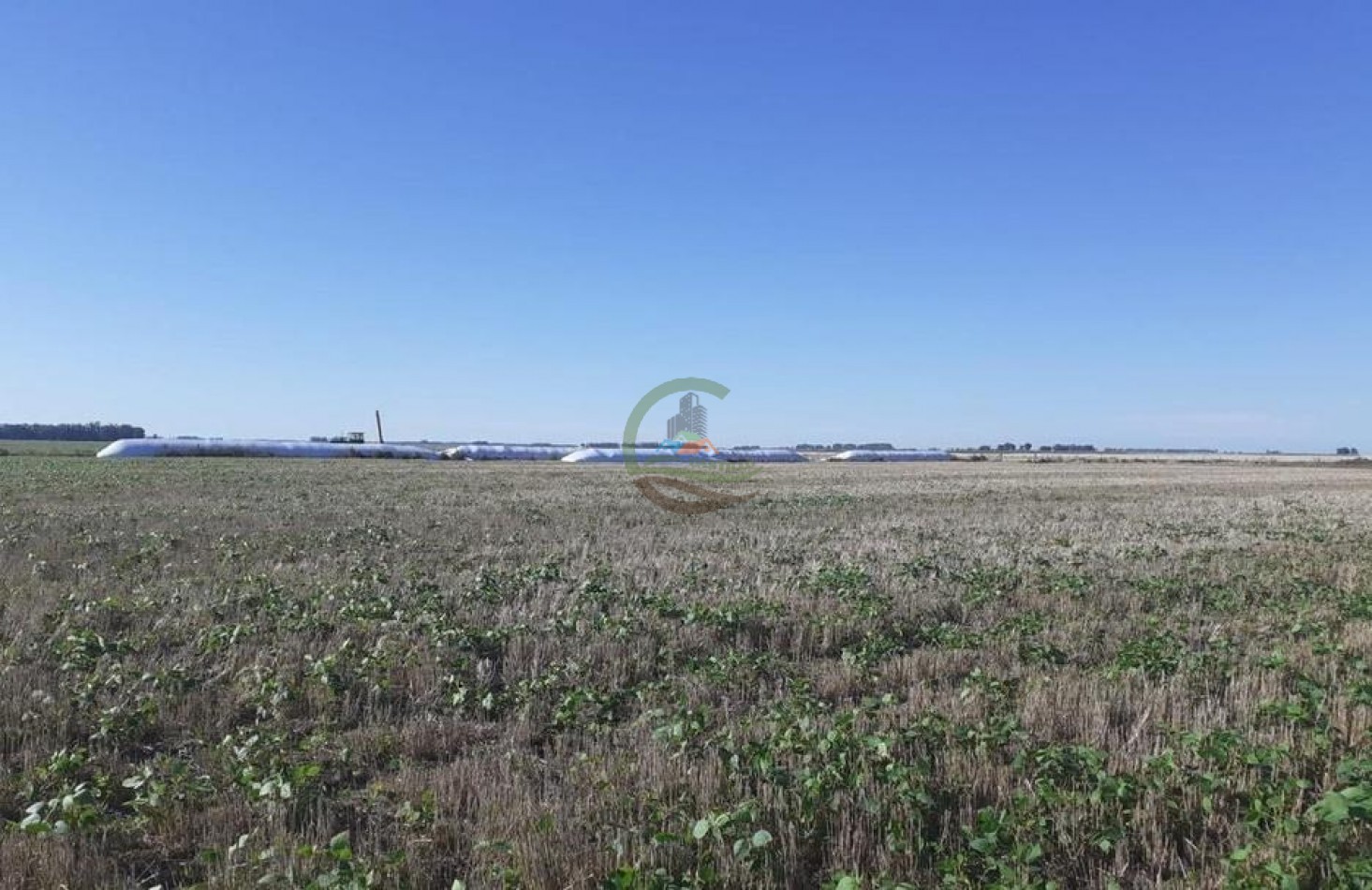338 Ha Mixto - San Cayetano 